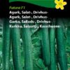 Agurk, Salat-, Drivhus-