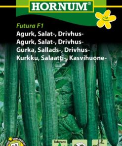 Agurk, Salat-, Drivhus-