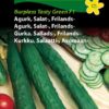 Agurk, Salat-, Frilands-