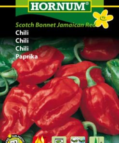 Chili Bonnet jamaican red