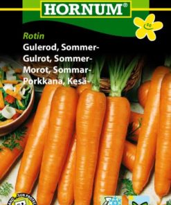 Gulrot, Sommer-