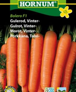 Gulrot, Vinter-