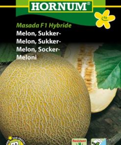 Melon, Sukker-