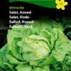 Salat, Hode-