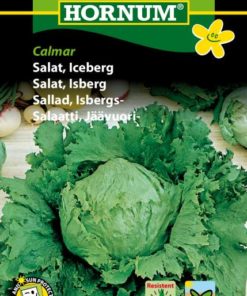 Salat, Isberg