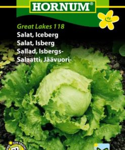 Salat, Isberg