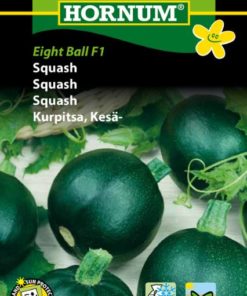 Squash