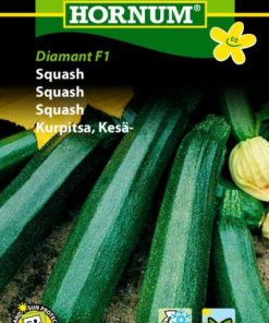 Squash