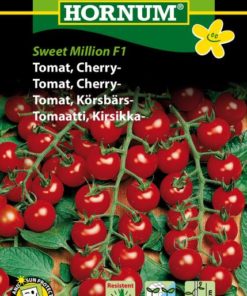 Tomat, Cherry-