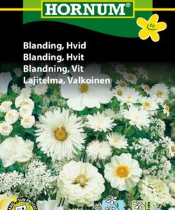 Blanding, Hvit