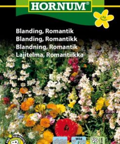 Blanding, Romantikk