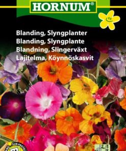 Blanding, Slyngplante