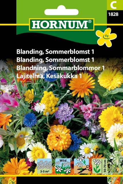 Blanding, Sommerblomst 1
