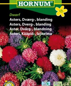 Asters, Dverg-, blanding