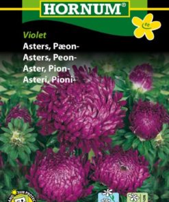 Asters, Peon-