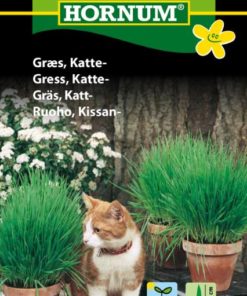 Gress, Katte-