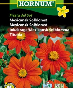 Mexicansk Solblomst