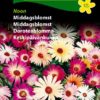 Middagsblomst