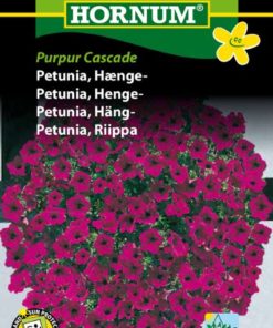 Petunia, Henge-