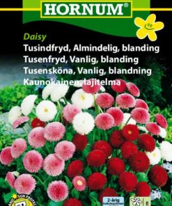 Tusenfryd, Vanlig, blanding