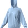 Adidas, W All Szn Ft Hd, Acdz Globlu, Hettegenser