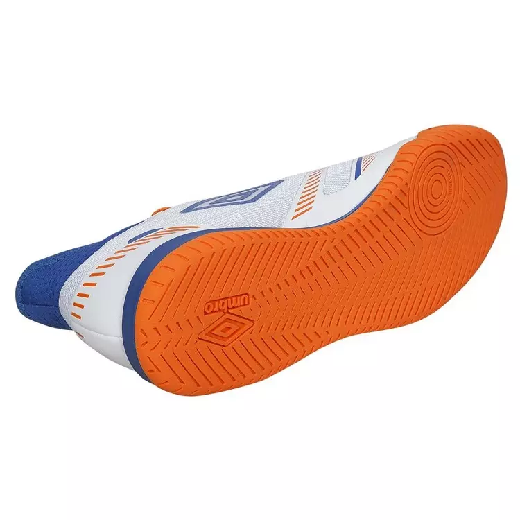 gallery-483-for-1561873