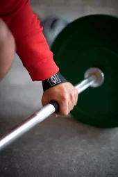 gallery-10462-for-1811848