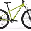 Merida  Big.Nine 20 Fall Green/Silver Green