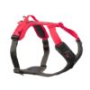 Ramble Harness