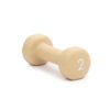 Abilica DumbBells 2 kg