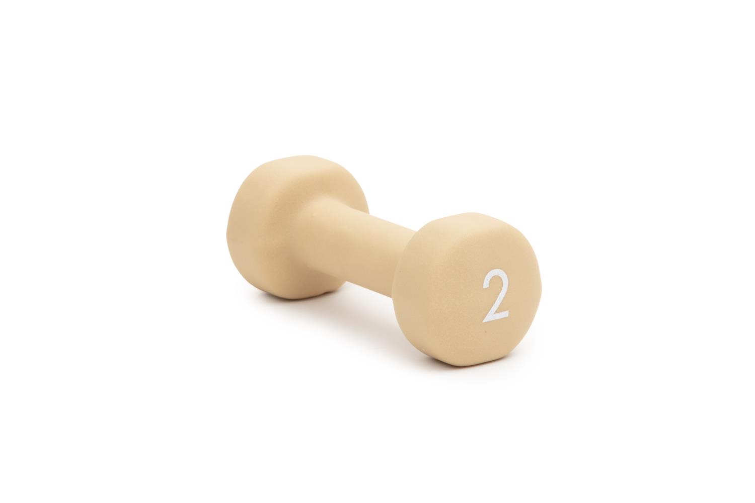 Abilica DumbBells 2 kg