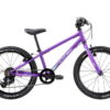 Merida Matts J.20 Race Purple/Teal