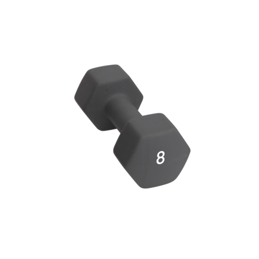 Abilica DumbBell 8 kg