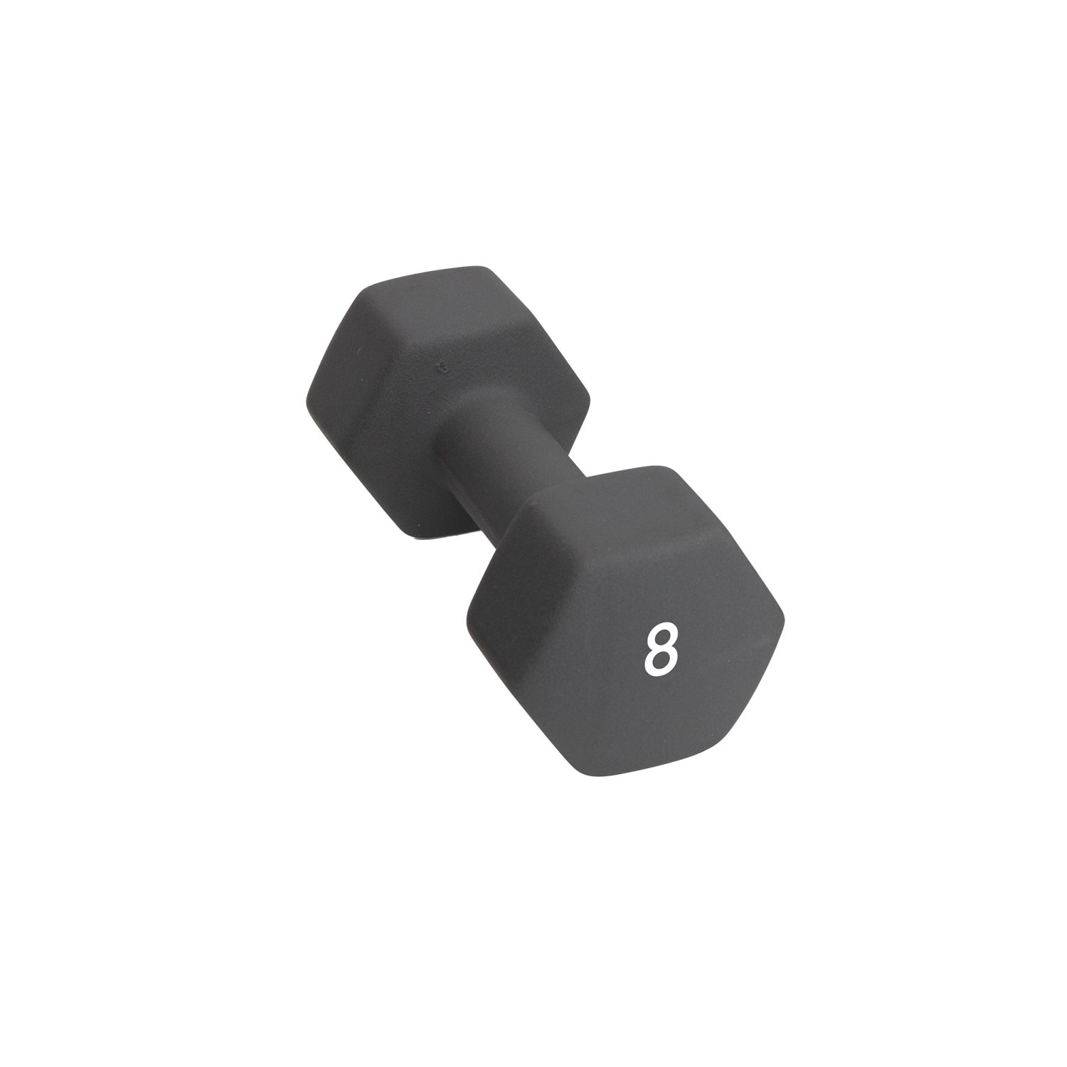 Abilica DumbBell 8 kg