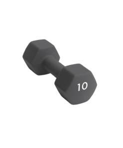 Abilica DumbBell 10 kg