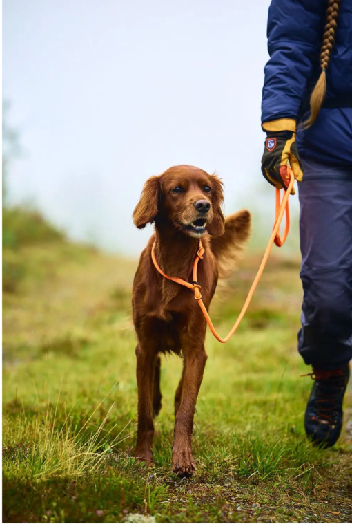 NonStop Retriever Leash 1.6m/6mm