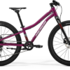 Matts J.24+ Silk Purple/Red 24"