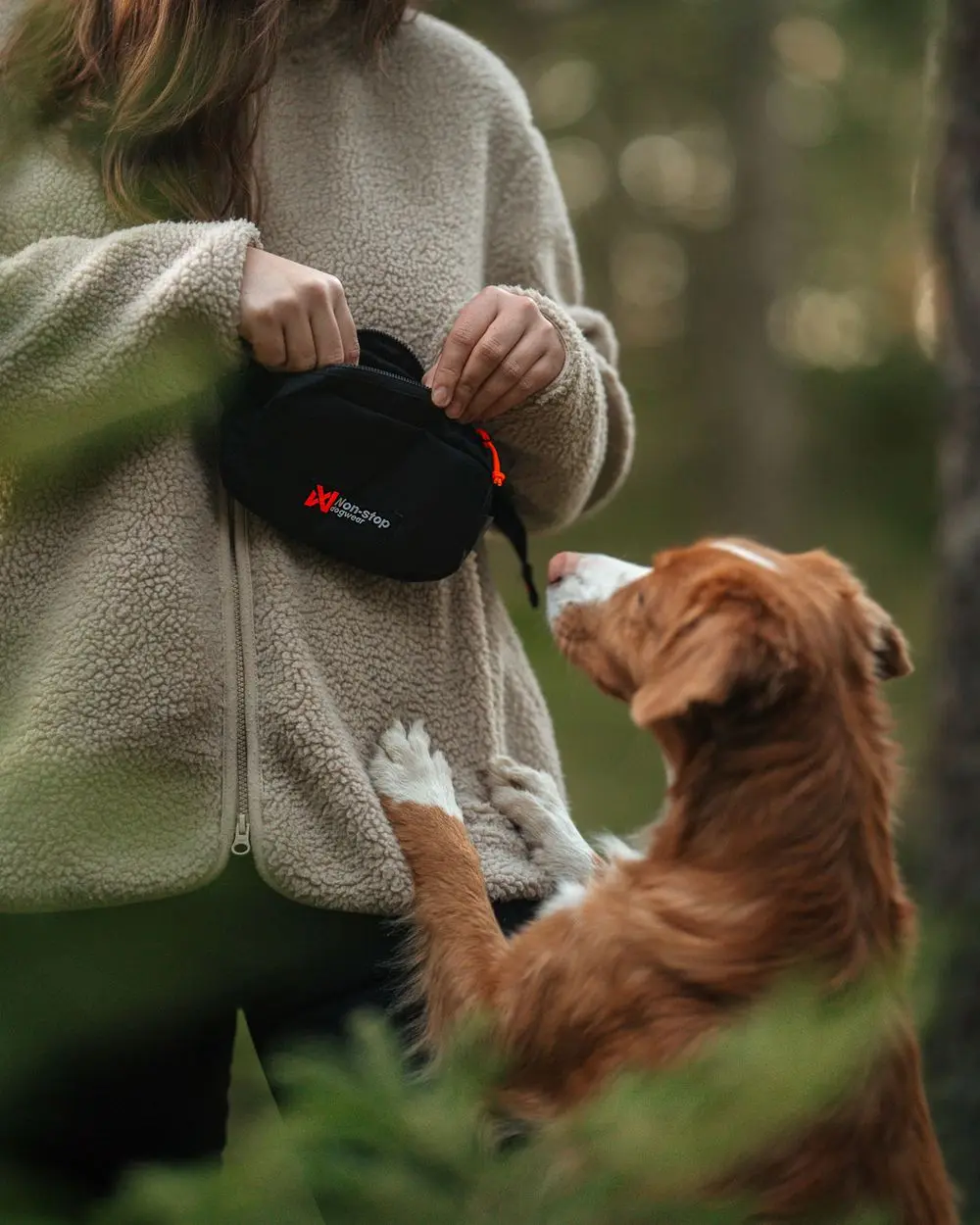 Trail quest fanny pack Svart