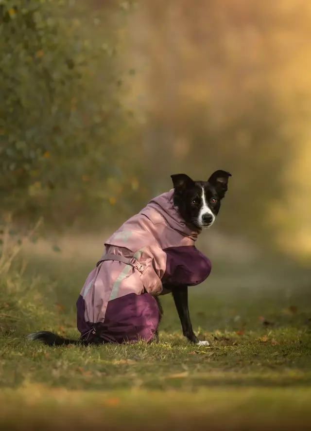 Non Stop Glacier 3.0 Mauve