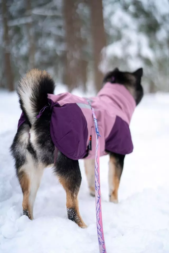 gallery-47-for-110776