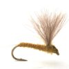 Runes CDC Nohackle L. Olive