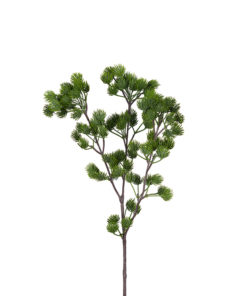 MR PLANT kvist Lerk 40cm