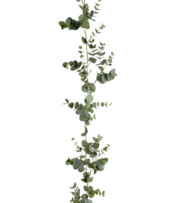 MR PLANT girlander Eucalyptus 190cm