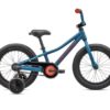 Specialized RIPROCK COASTER 16 INT