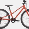 Specialized JETT 24 INT