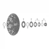 Shimano Sprocket Wheel 10TB/12TD 12Spd CS-M9100