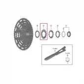 Shimano Tannhjul 15T CS-LG600