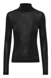 FangIW Rollneck