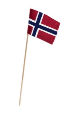 Flagg til Kay Bojesen Garder