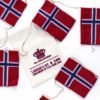 Stor flagranke med 10 norske flag